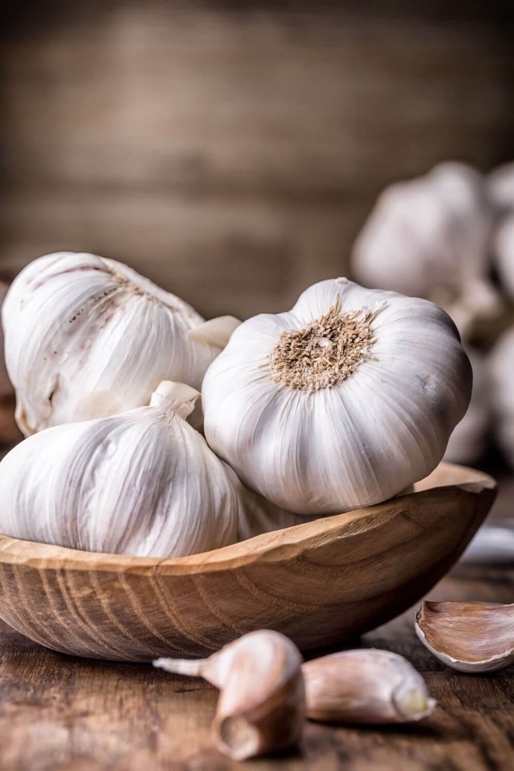 Garlic